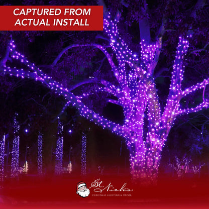 LED Mini Lights 5MM Purple Static Green Wire 6" Spacing