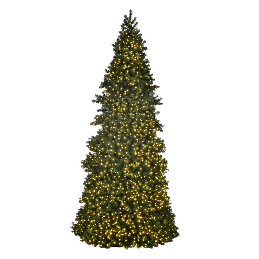 16' x 80" Artificial Pre-Lit Slim Grand Teton Frame Tree, with LED Warm White 5mm Single Mold Lights