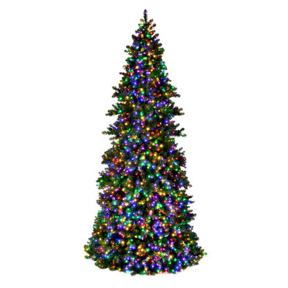 18' x 86" Artificial Pre-Lit Slim Grand Teton Frame Tree, with LED Warm White 5mm Single Mold Lights