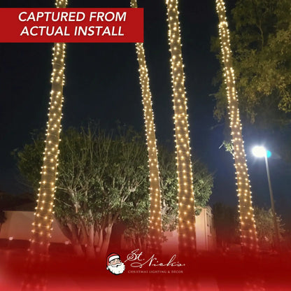 LED Mini Lights 5MM Warm White Twinkle 120v White Wire - 6" Spacing